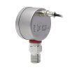 SJ Gauge digital pressure instrument with display and output signal