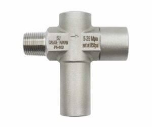 Overpressure Protector