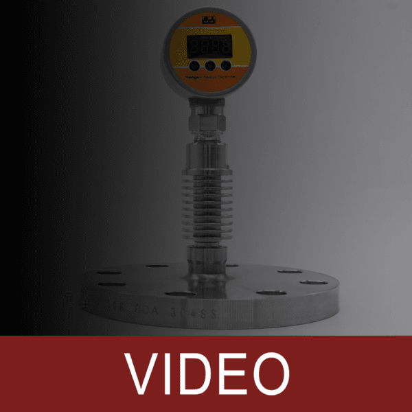 Flanged Connection with Flush Diaphragm